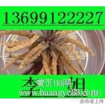 濟(jì)南回收冬蟲(chóng)夏草東阿阿膠片仔癀安宮牛黃丸海參燕窩鹿茸