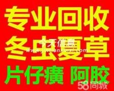 烏魯木齊回收冬蟲(chóng)夏草東阿阿膠片仔癀安宮牛黃丸海參燕窩魚(yú)膠魚(yú)肚