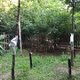 QT-2010 植物生理生態(tài)監(jiān)測(cè)系統(tǒng)